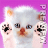 le meme portrai que mon chaton